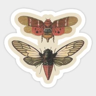 Butter bugs Sticker